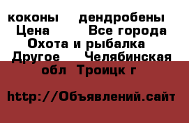 коконы    дендробены › Цена ­ 25 - Все города Охота и рыбалка » Другое   . Челябинская обл.,Троицк г.